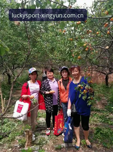 杏运体育投注 杏运体育投注实战评测:从注册到盈利的全流程操作指南